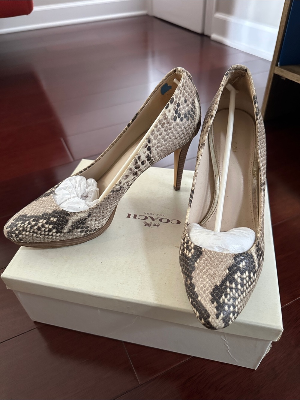 Coach Snake Heel Pumps size 8.5